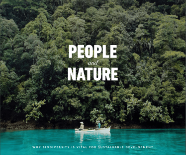 People and Nature Campaign Seahorse